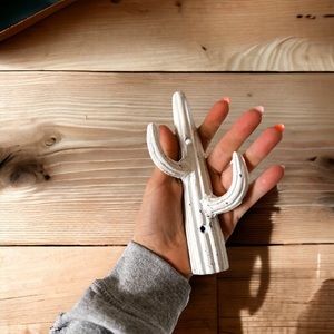 🍊Cast Iron Cactus Hanger